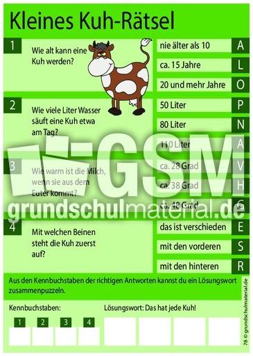 Kleines Kuh-Rätsel 1.pdf
